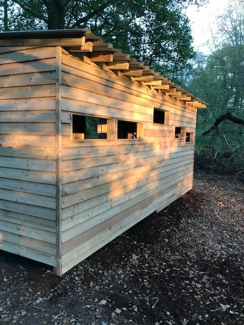 shed2